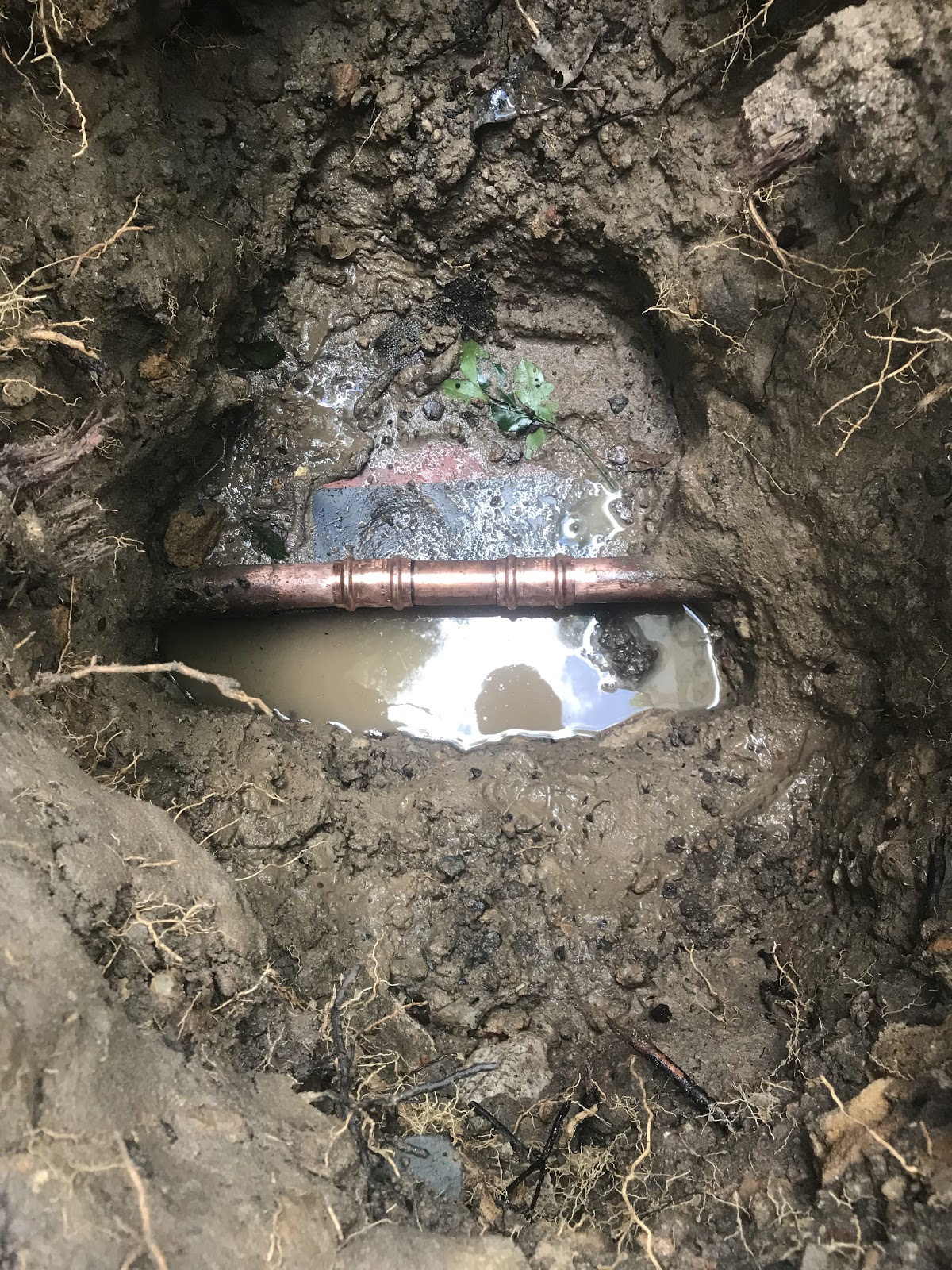 Old Pipes Burst And How We Repaired It - J Dalton Plumbing